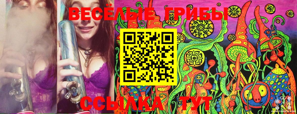Галлюциногенные грибы Psilocybine cubensis Муром